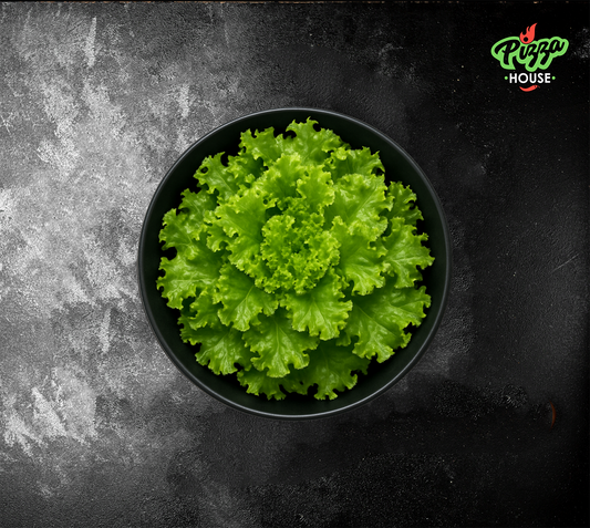 Knackiger grüner Blattsalat in schwarzer Bowl – Draufsicht auf frische Salatblätter